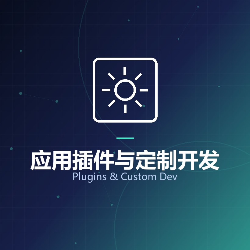 应用插件与定制开发